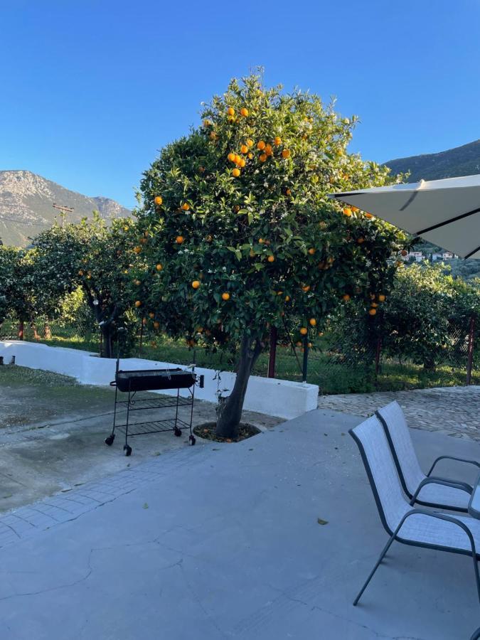 Citrus Garden Villa Epidaurus Eksteriør billede